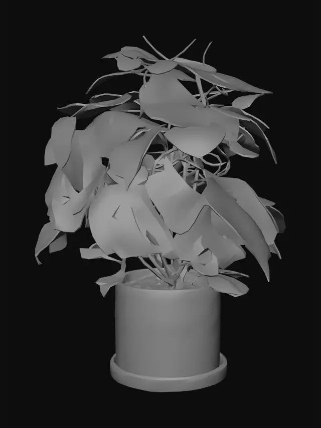 3D model for Monstera deliciosa