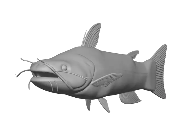 3D model for Grey Catfish