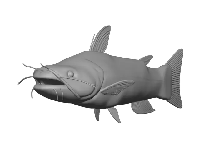 3D model for Grey Catfish