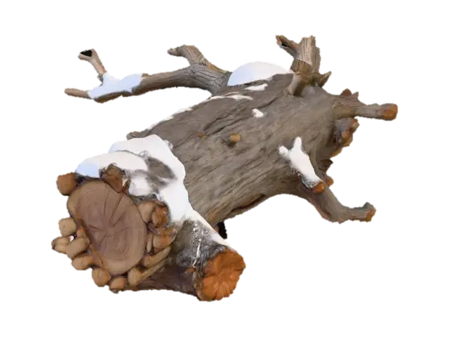 A realistic 3D model of a large fallen tree log in winter. The trunk should be long,… - Bark 3D model, vytvořený pomocí AI