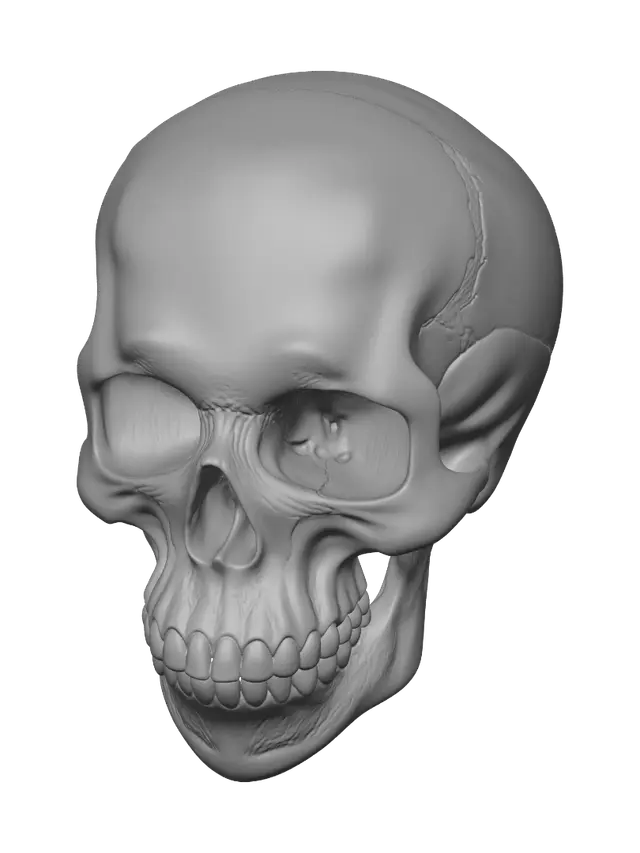 3D model for Midnight Skull