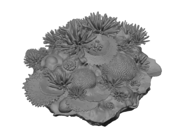 3D model for Vibrant Coral Summit