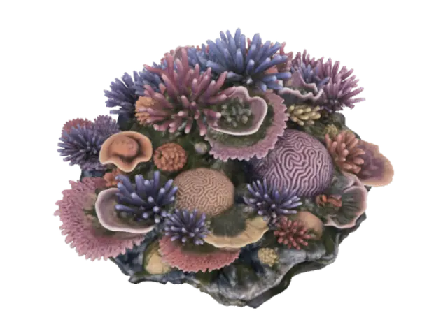 3D model for Vibrant Coral Summit