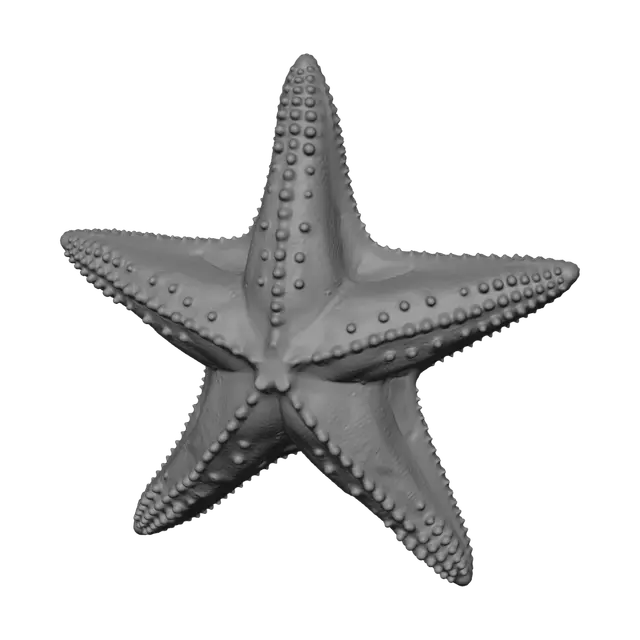 3D model for Golden Starfish