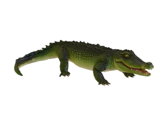 realistic alligator - Crocodile 3D model, vytvořený pomocí AI