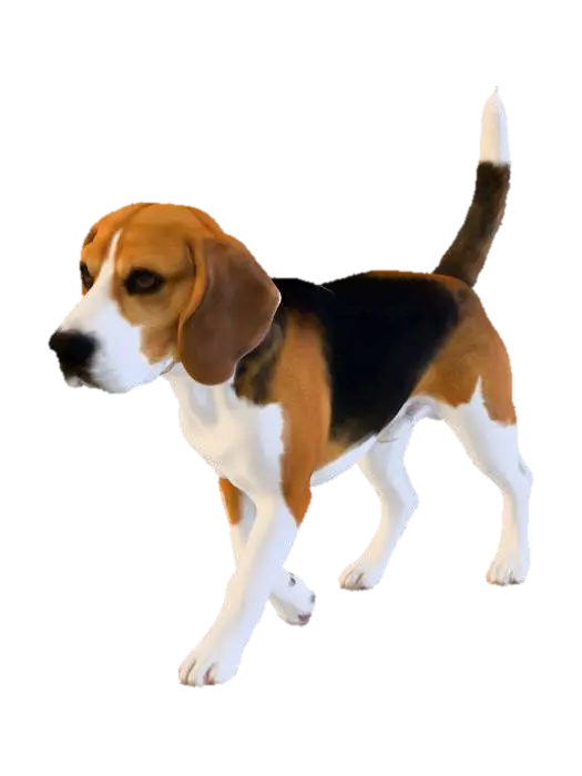 Beagle Stroll - Walk 3D model, vytvořený pomocí AI