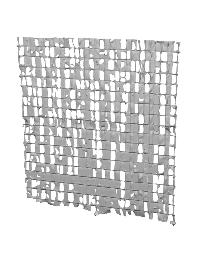 3D model for Frayed Silver Lattice