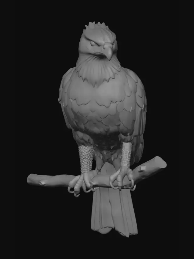 3D model for Gavião-pena-macaco