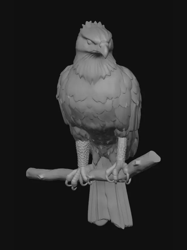 3D model for Gavião-pena-macaco