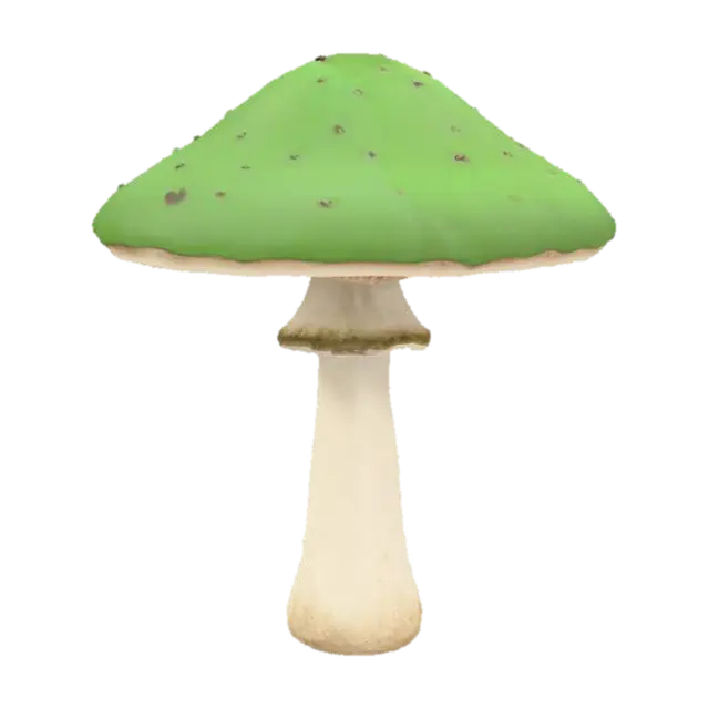 3D model for A realistic 3D model of a green mushroom, game-ready, clean topology, medium polycount, detailed cap and stem texture, natural red and white colors, centered, no background.