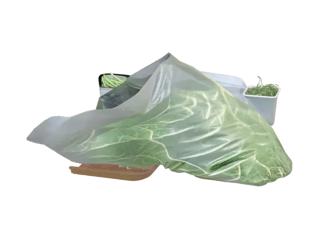 3D model for Green beans in a plastic bag