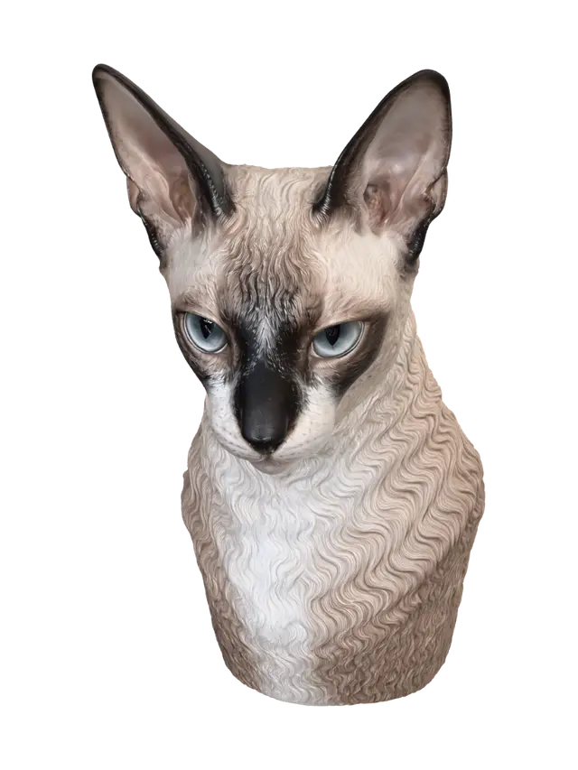 3D model for 