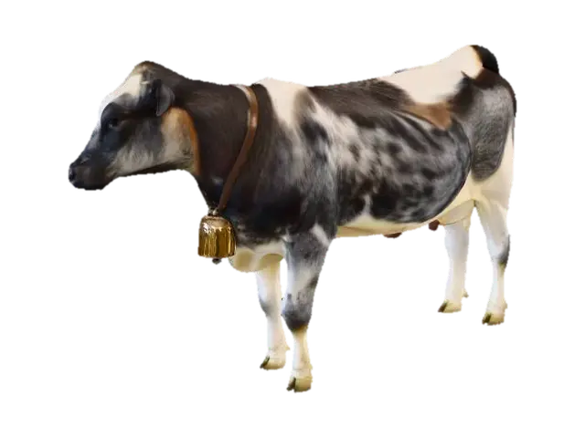 Cowbell Serenade 3D model, vytvořený pomocí AI