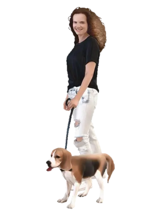 Casual Walk with a Beagle 3D model, vytvořený pomocí AI