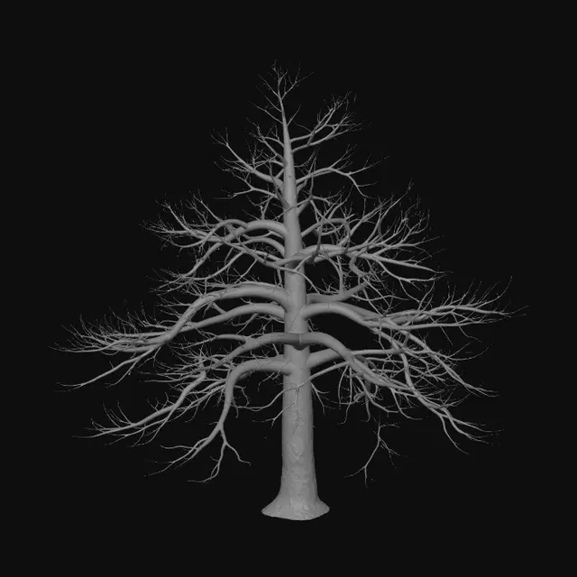 3D model for Lone Pine