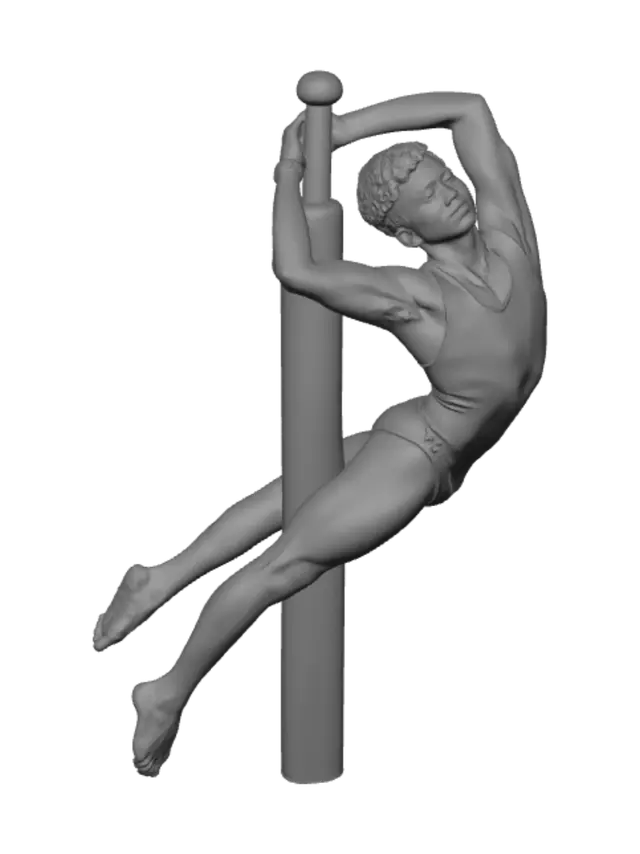 3D model for Pole Acrobatics