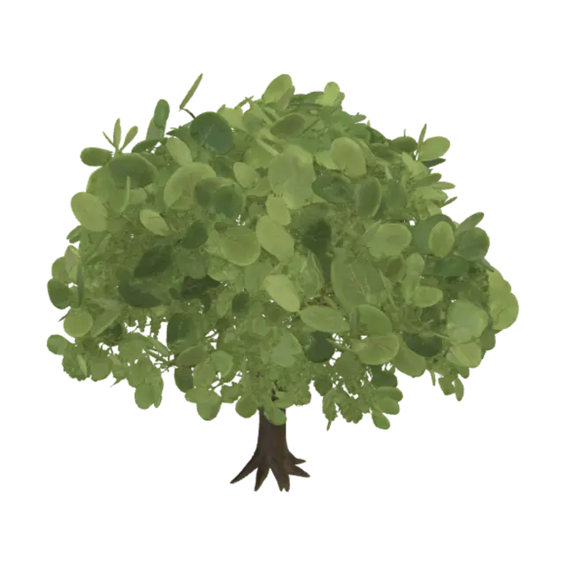 3D model for Sea Grape on the Beach