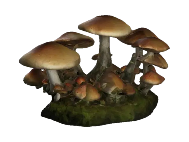 A very realistic mystical mushroom forest - Woods 3D model, vytvořený pomocí AI