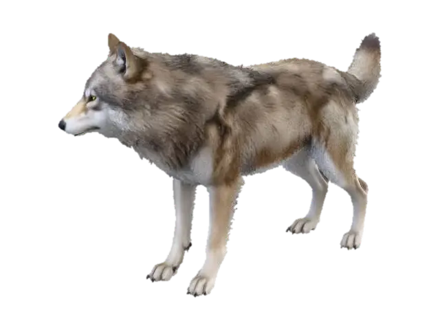 a wolf - Furry 3D model, vytvořený pomocí AI