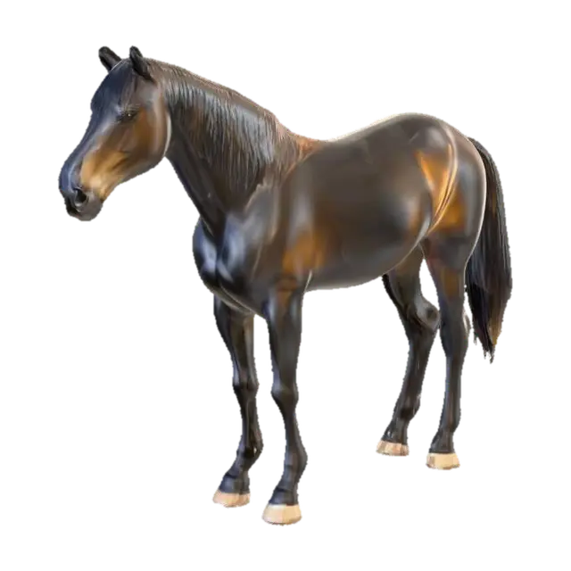 3D model for Horse