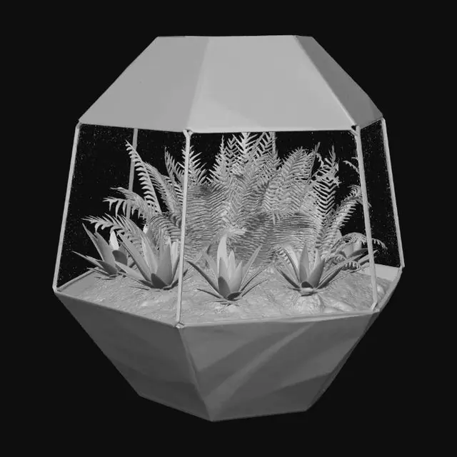 3D model for Glass terrarium with plants inside