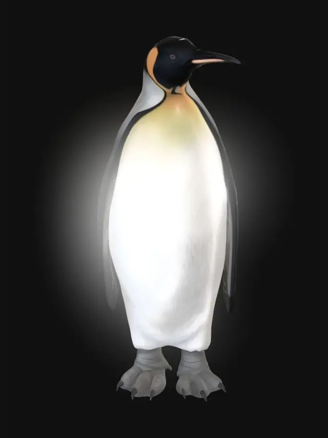 3D model for Emperor Penguin