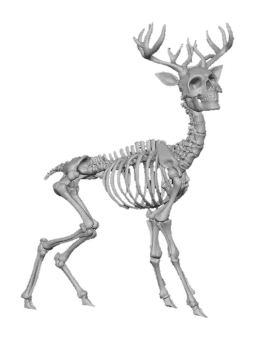 3D model for Griz - The one who didn't come, but simply stayed