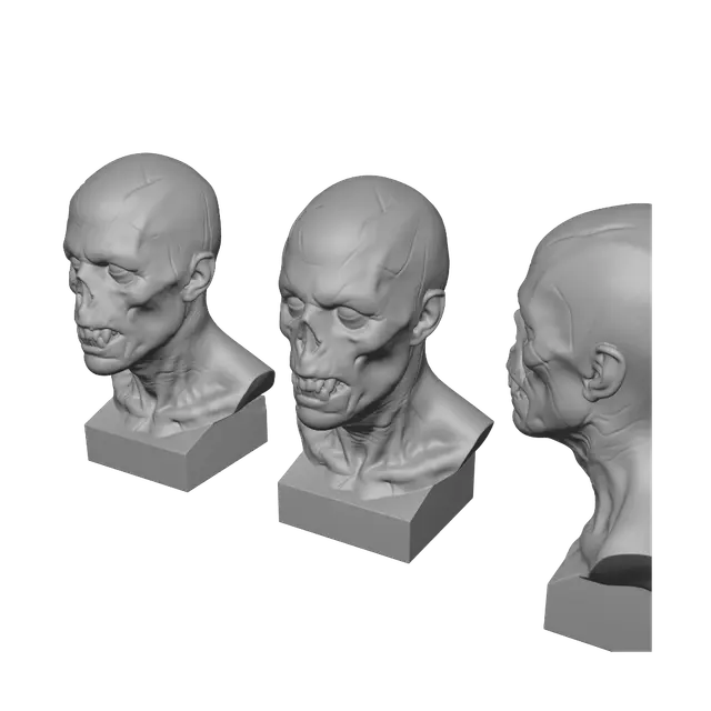 3D model for Ghoul Character Study