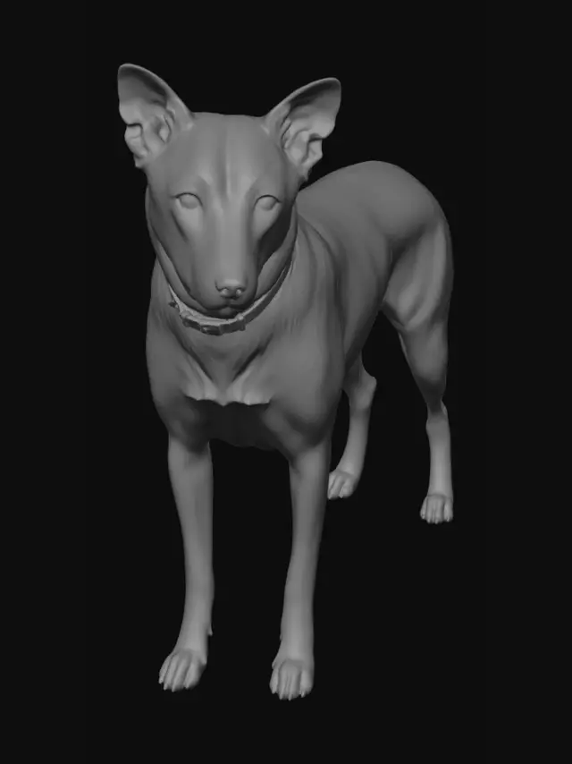 3D model for Canine 3D Reference Sheet