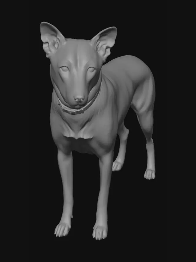 3D model for Canine 3D Reference Sheet