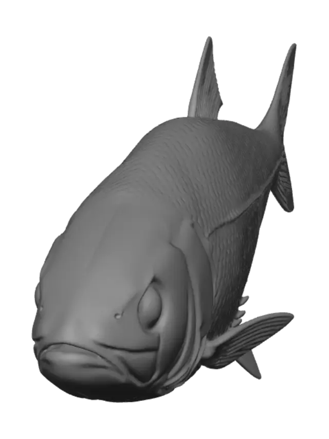 3D model for Grayscale Carp