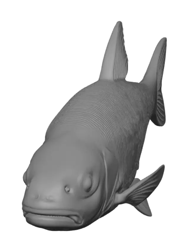 3D model for Grayscale Carp