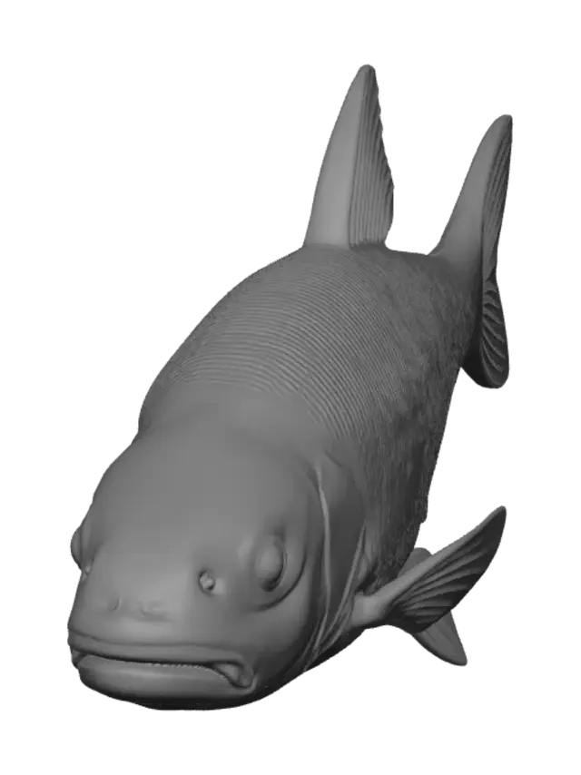 3D model for Grayscale Carp