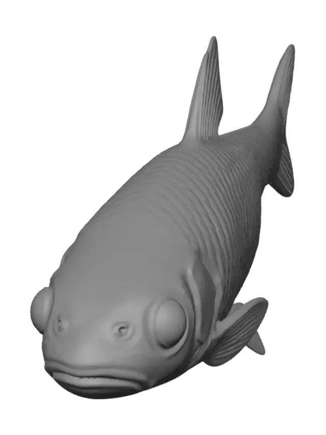 3D model for Grayscale Carp