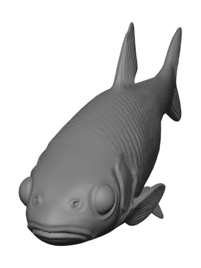 3D model for Grayscale Carp