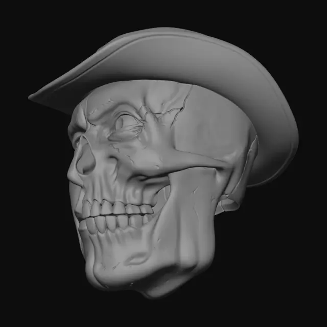 3D model for Duality of a Cowboy