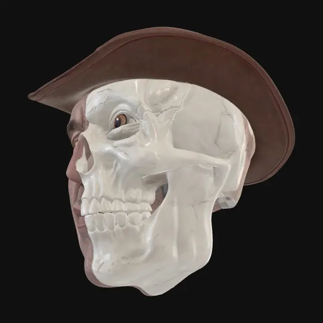 3D model for Duality of a Cowboy
