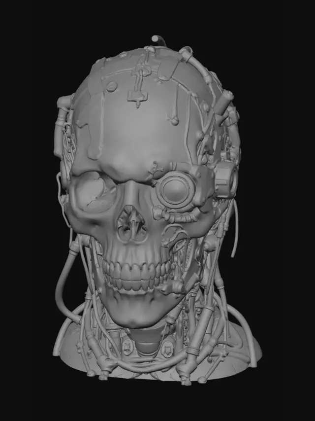 3D model for Cybernetic Skull