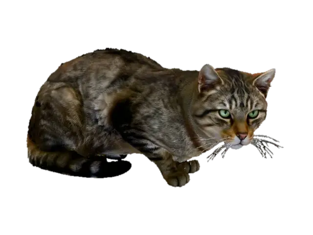 Tabby Whisperer - Wildcat 3D model, vytvořený pomocí AI