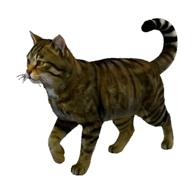 Wildcat 3D model, vytvořený pomocí AI