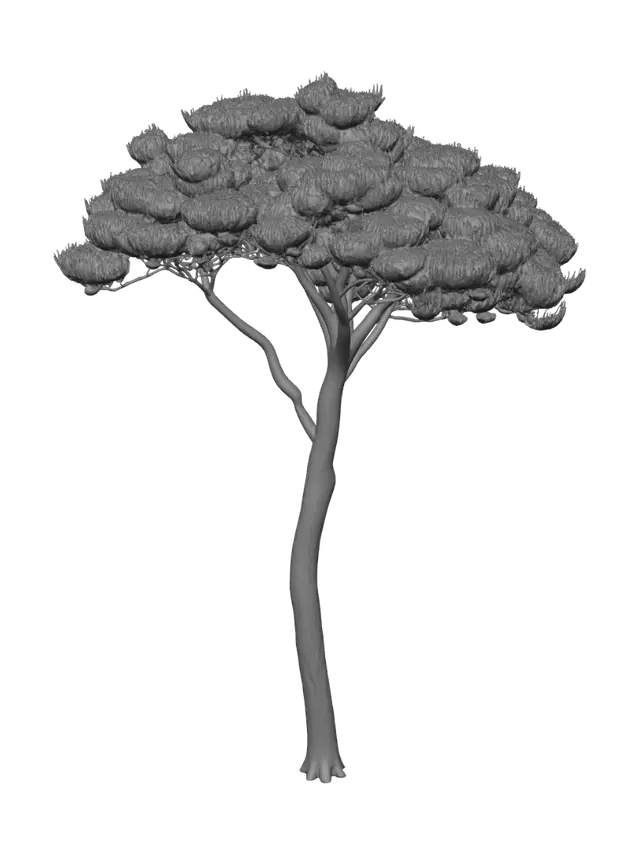 3D model for Lone Pine