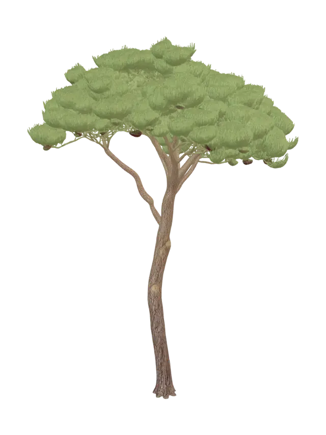 3D model for Lone Pine