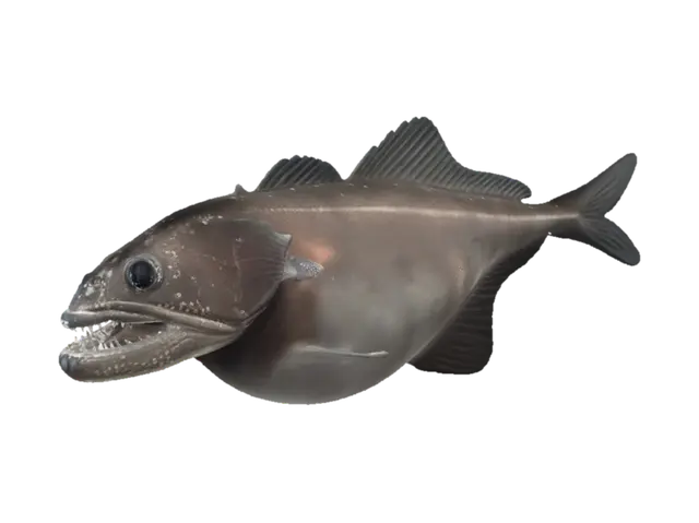 3D model for Toothy Deep-Sea Hunter