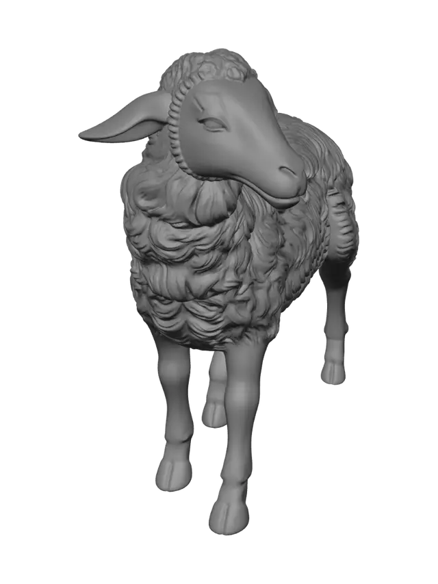 3D model for Woolly Sheep