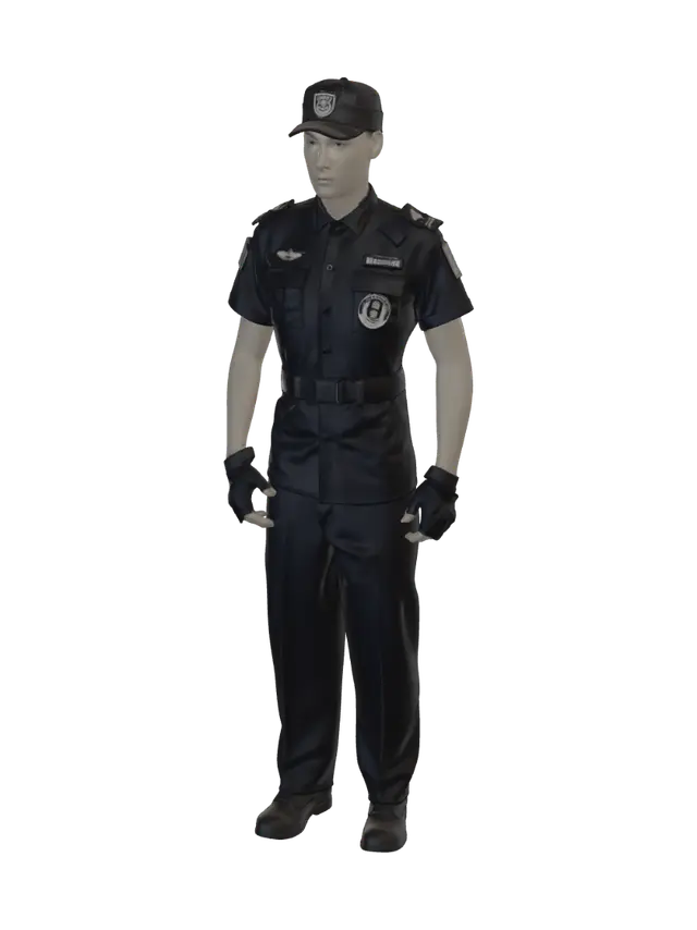 3D model for Uniformed Sentinel