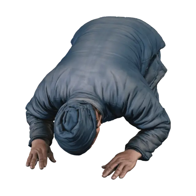3D model for Prostration in Blue