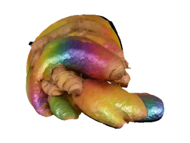 Spectrum Spice - Segments-3D-modell, genererad av AI