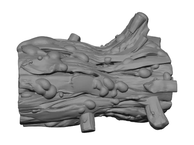 3D model for A massive rotting log