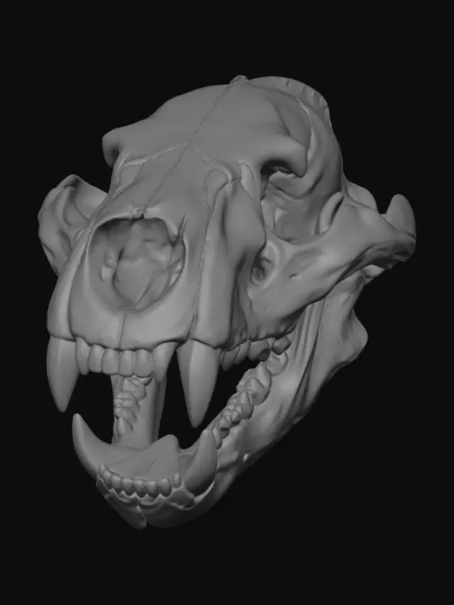 3D model for Ancient Predator Skull