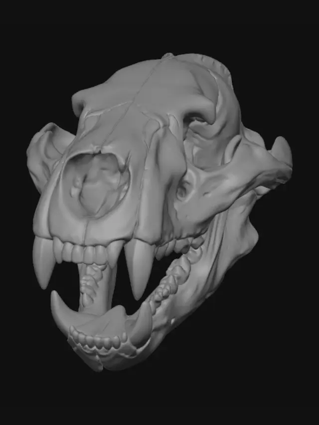 3D model for Ancient Predator Skull